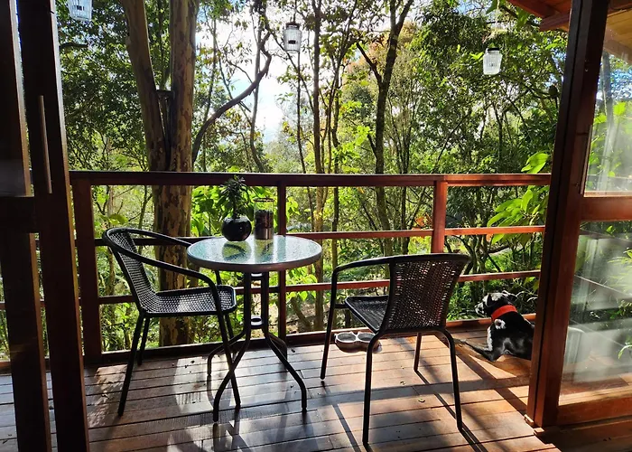 Cabana En Medio Del Bosque Con Jacuzzi - Santa Elena