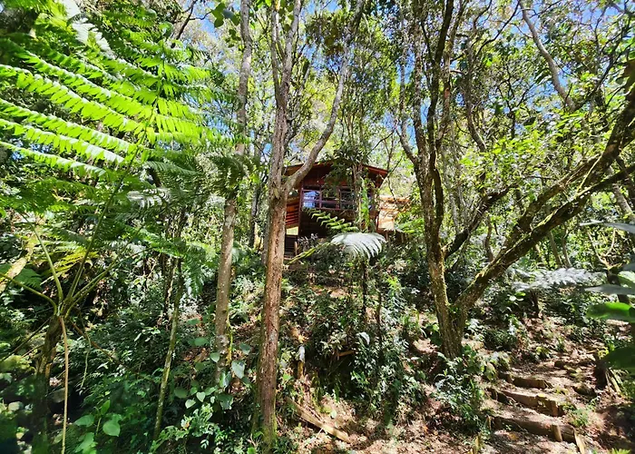 Cabana En Medio Del Bosque Con Jacuzzi - Santa Elena