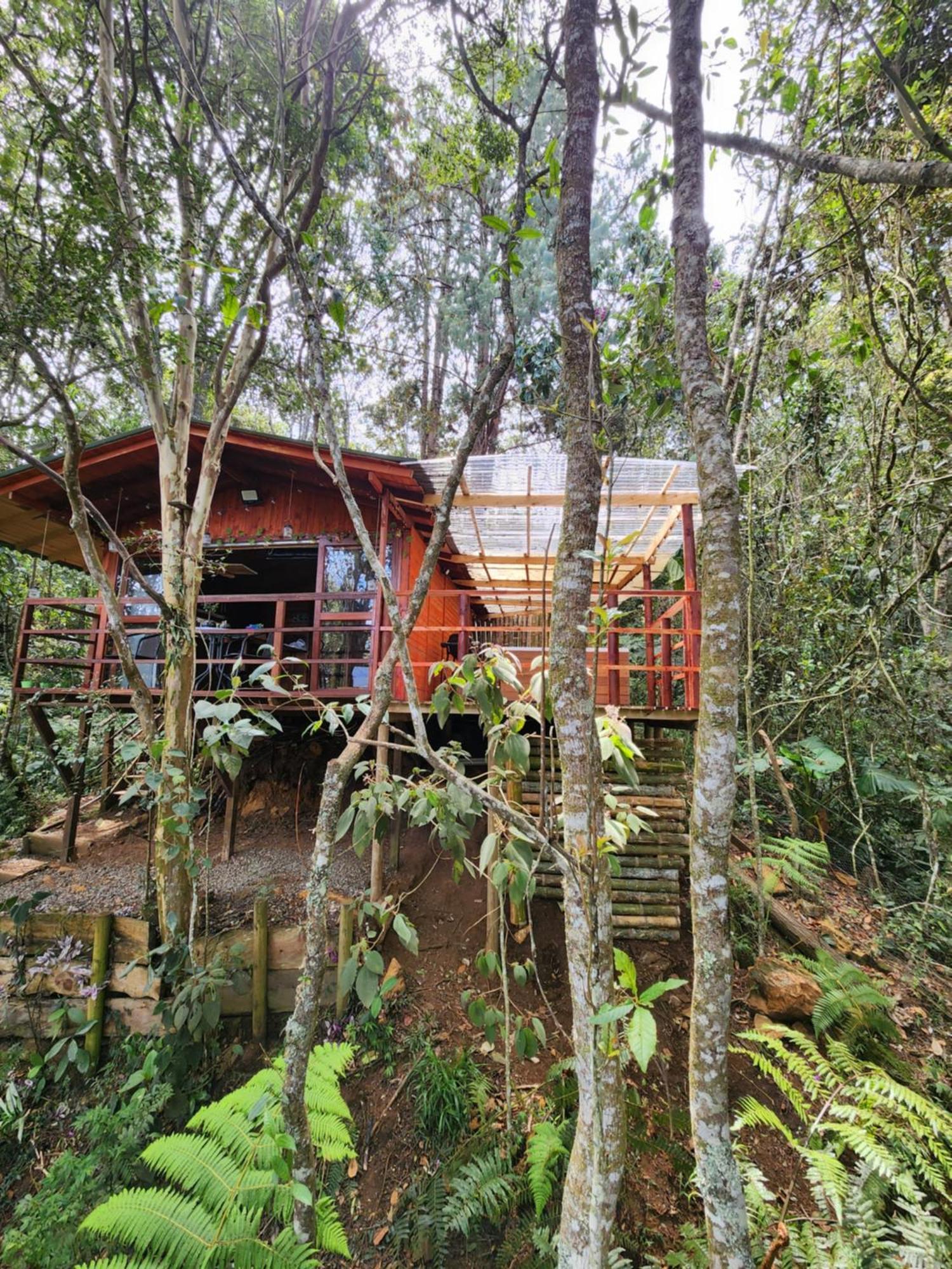 En Medio Del Bosque Con Jacuzzi - Santa Elena * Santa Elena (Antioquia)