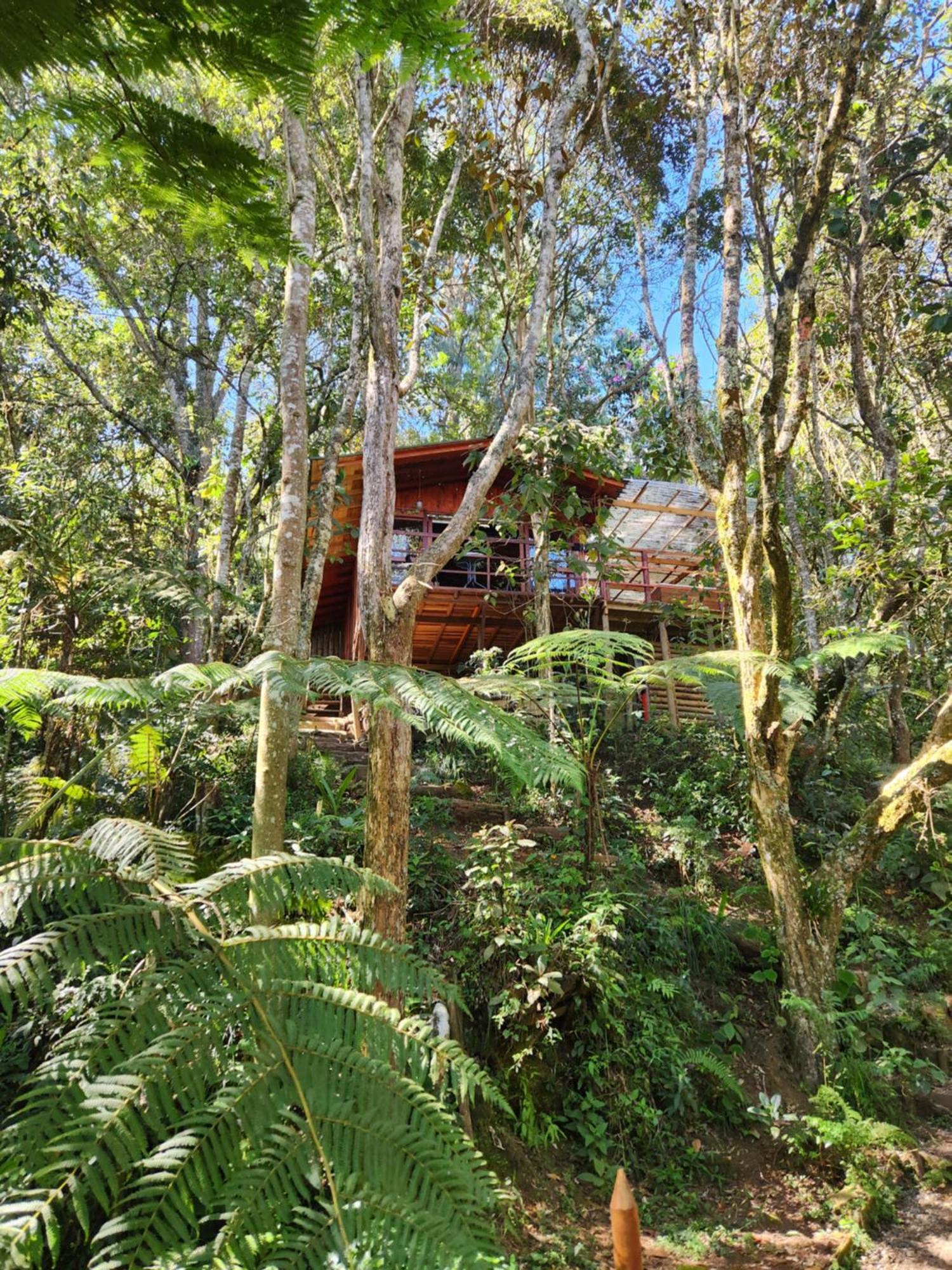 En Medio Del Bosque Con Jacuzzi - Santa Elena Campsite *